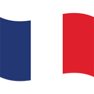 فرنسي فرنسي