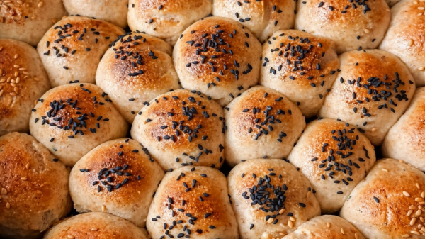 خلية نحل صحية بطحين القمح.