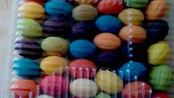 موتشي الجوزية