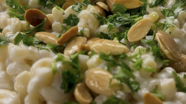 المكرونه باللبن